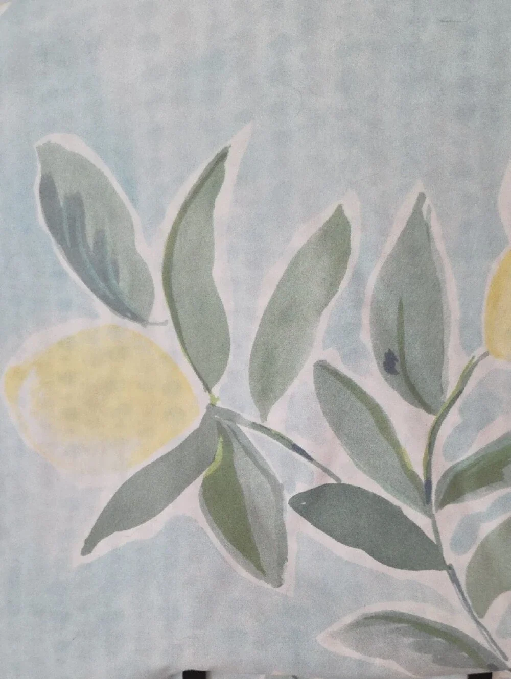 Pottery Barn Rebecca Atwood Lemon & Leaf Organic Cotton King Duvet Cover